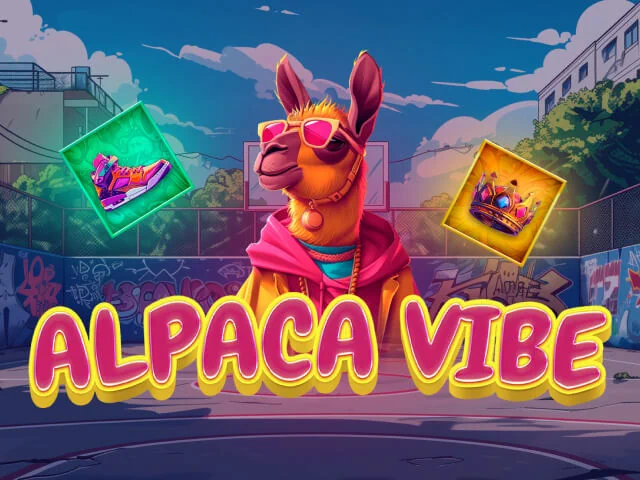 alpaca vibe